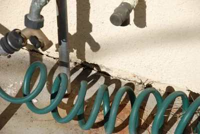 DSC_0031 (Large).JPG